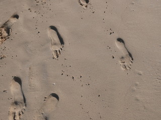 Fototapeta na wymiar footprints on the beach on a beach at Boa Vista island Cape Verde. 2019