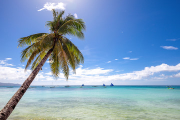 White Beach and Palm Tree, Boracay island,Philippines.