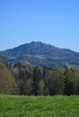 Blick auf das Hörnli (1132m) von der Obersedelegg aus