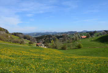 Fototapeta na wymiar Panorama von Rengerswil aus, Gemeinde Turbenthal, Kanton Zürich