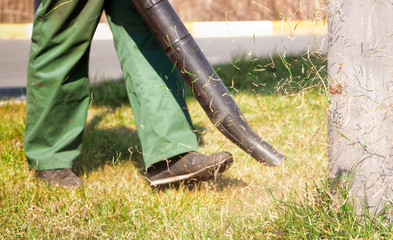 The gardener blows the lawn from the old dried grass with a gasoline blower. Lawn care.