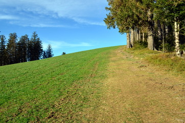 Fototapeta na wymiar Wanderweg in Breitnau im Schwarzwald