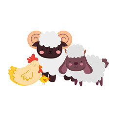 farm animals goat sheep hen cartoon isolated icon on white background