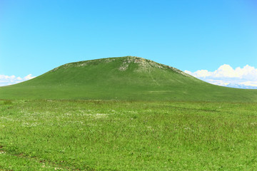 Fototapeta premium A lush hill and a blue sky. Background picture.