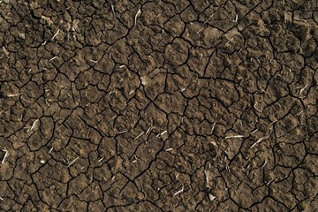 Dark brown cracked surface of the earth. Textured, natural surface.