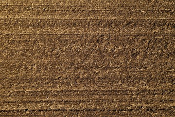 Dark brown cracked surface of the earth. Textured, natural surface.