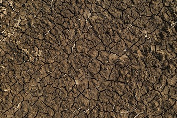 Dark brown cracked surface of the earth. Textured, natural surface.