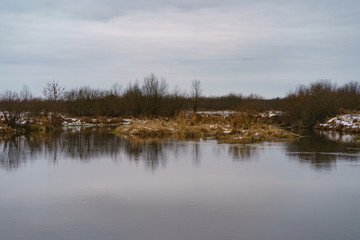 Fototapeta premium Sucha wysoka trawa na brzegu rzeki odbijała się w wodzie. Naturalne jasne kolorowe tło. Rzeka Desna w ciągu dnia.