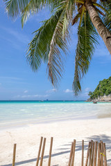 Fototapeta na wymiar White Beach and Palm Tree, Boracay island, Philippines.