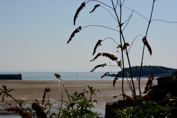 BARRY, VALE OF GLAMORGAN / WALES - APRIL 15 2020: elderly people take daily exercise in the sunshine during the COVID_19 lockdown making sure they are complying with social distance rules
