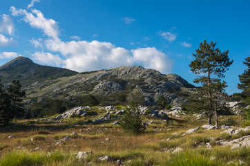 Fototapeta na wymiar Nationalpark Lovćen , Montenegro