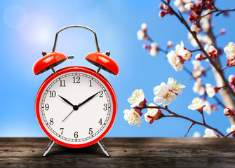 Vintage red alarm clock on wooden table or bench in the spring season on the background of a blooming fruit tree background.
