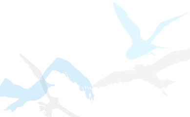 Set of birds illustration - 339343226