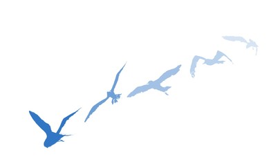 Set of birds illustration - 339343230