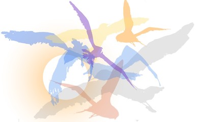 Set of birds illustration - 339343263