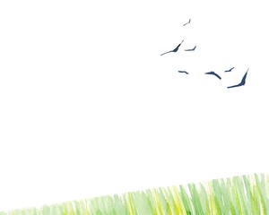 Birds with green grass watercolor illustration - 339343289