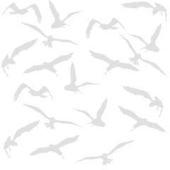 Set of birds illustration - 339343295