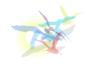 Vector illustration of set of blue, yellow, purple, cyan and red birds over white background - 339343438