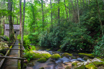 The Reagan Tub Mill On The Roaring Fork, Great Smoky Mountains National Park, Tennessee, USA