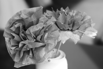 white rose on black background crepe paper