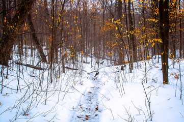 Winter Hiking Upstate New York