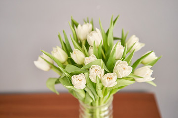 Tulips of white color in glass vase. Floral natural backdrop. Unusual flowers, unlike the others.