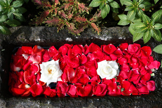 Directly Above Shot Of Flowers Decorated On Coffin At Cemetery