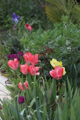 paysage d'un jardin fleuri au printemps