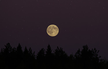 Fototapeta na wymiar full moon over the night sky