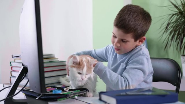 loved pet, cute male child stroking his pet cat on the table during education at home, allergy free