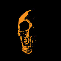 Skull portrait silhouette in contrast backlight. 