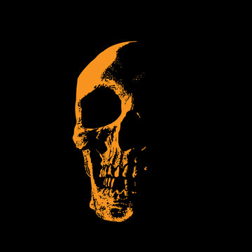 Skull Portrait Silhouette In Contrast Backlight. 