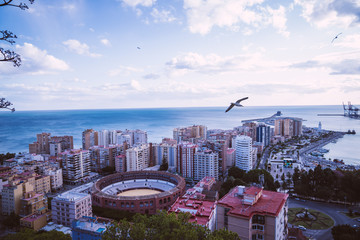 Obraz premium top view of the malaga arena with a bird running through the landscape