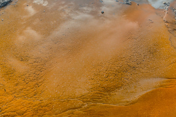 Fototapeta na wymiar Orange Colored Patterns Created by Bacteria Near Grand Geyser, Upper Geyser Basin, Yellowstone National Park, Wyoming, USA