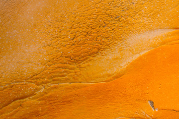 Orange Colored Patterns Ceated  by Bacteria Near Grand Geyser, Upper Geyser Basin, Yellowstone National Park, Wyoming, USA