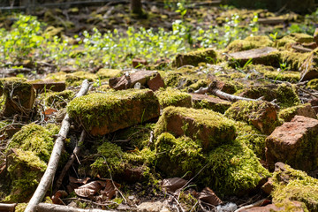 Old broken bricks covered in moss, half hidden in the undergrowth . Found in Stanmore Country Park, Middlesex UK.