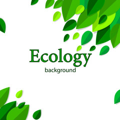 Abstract eco background with green leaves