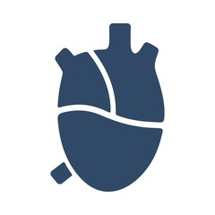 Human heart anatomy icon. Flat icon design.