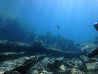 Fototapeta na wymiar 海底の船