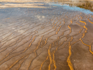 Reflections In The Terraced Surface Near Grand Prismatic Springs, Midway Geyser Basin,Yellowstone National Park, Wyoming, USA