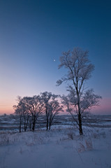 A thick coating of hoar frost covers the winter landscape as the sun rises over a Midwest prairie.