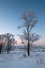 A thick coating of hoar frost covers the winter landscape as the sun rises over a Midwest prairie.