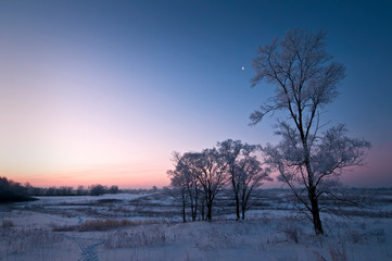 A thick coating of hoar frost covers the winter landscape as the sun rises over a Midwest prairie.