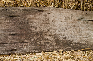 Skin pattern of old wooden board on straw floor and wall