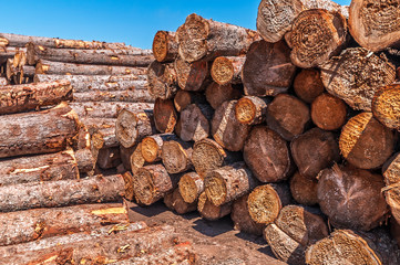 A Lumber Mill at the Gunflint Trail in northern Minnesota.