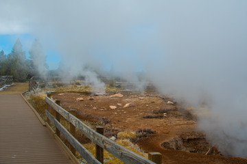 Yellowstone Land & Vapors
