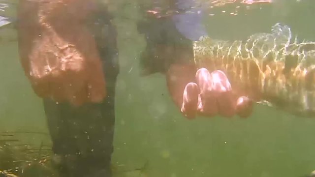 trout fishing