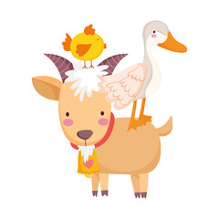 ram with chicken and goose farm animal isolated icon on white background