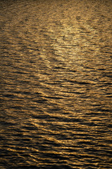 黄金色の川面