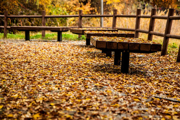 Fototapeta na wymiar Empty Benches On Dry Leaves Covered Field
